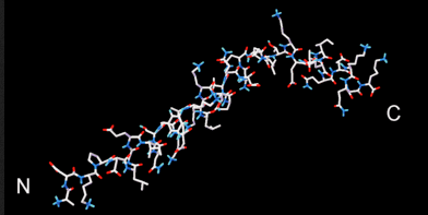 Thymosin structure